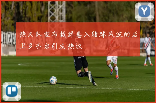 热火队宣布裁掉卷入赌球风波的后卫罗齐尔引发热议
